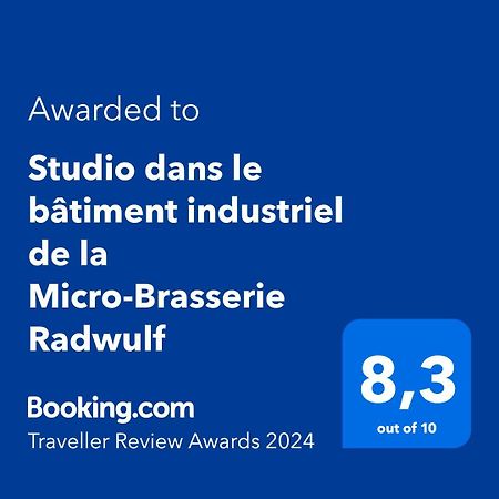 Apartmán Studio Dans Le Batiment Industriel De La Micro-Brasserie Radwulf Vieux-Ferrette Exteriér fotografie